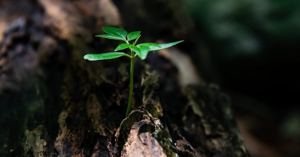 working with a life coach. power of growth.
